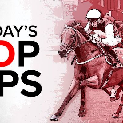 12 HORSES A DAY logo