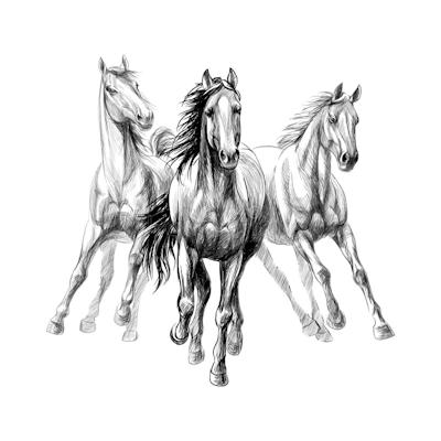 2 or 3 HORSES A DAY logo