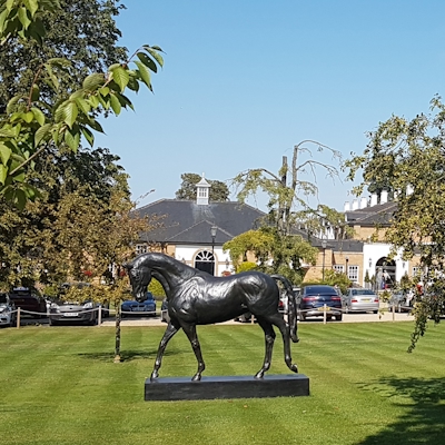 Horse Racing 4 Profit UK logo