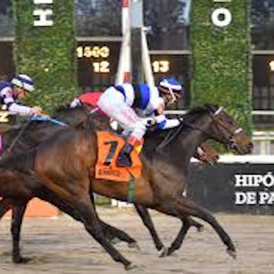 Horse Racing Argentina🇦🇷 logo