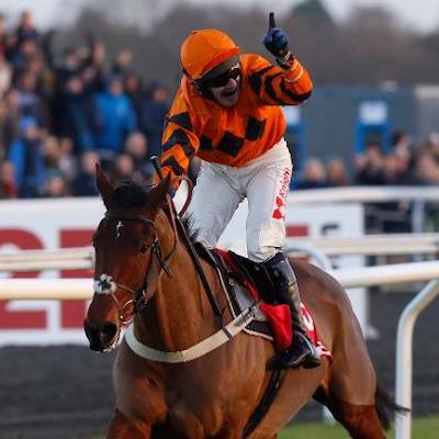 Pro Horse Bets logo