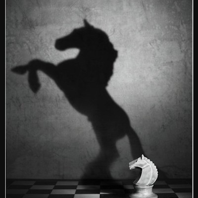 The Black Hoof logo