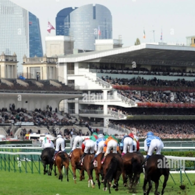 The French Connection logo