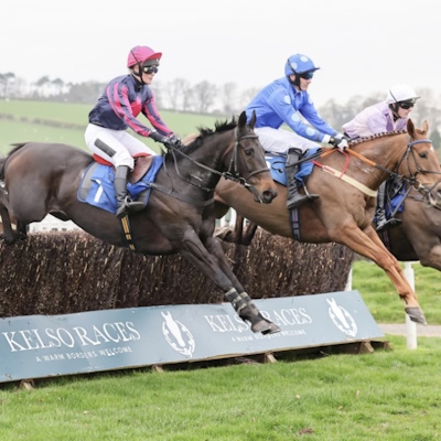 Value Horse Racing Tipster logo