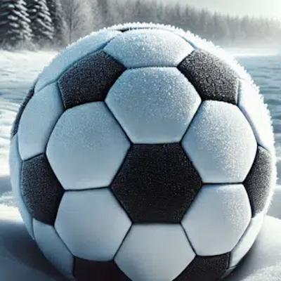 Winnerparlays logo